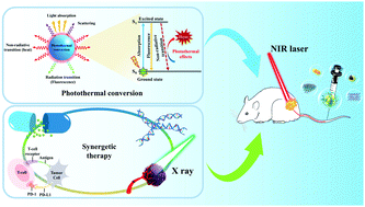 Graphical abstract: Bioactive engineered photothermal nanomaterials: from theoretical understanding to cutting-edge application strategies in anti-cancer therapy