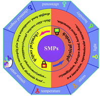 Graphical abstract: A review of shape memory polymers based on the intrinsic structures of their responsive switches