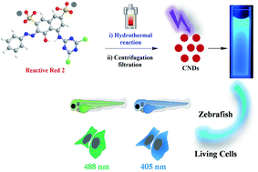 Graphical abstract: Turning waste into wealth: facile and green synthesis of carbon nanodots from pollutants and applications to bioimaging