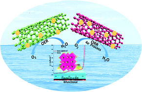 Graphical abstract: Multi-walled carbon nanotube supported manganese selenide as a highly active bifunctional OER and ORR electrocatalyst