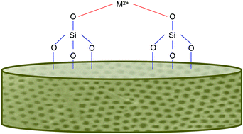 Graphical abstract: A review on diatom biosilicification and their adaptive ability to uptake other metals into their frustules for potential application in bone repair