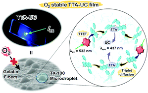 Graphical abstract: Photon upconverting bioplastics with high efficiency and in-air durability