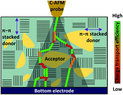 Graphical abstract: Mixed molecular orientations promote charge transport in bulk heterojunction solar cells