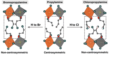 Graphical abstract: The effect of halogenated spacer cations on structural symmetry-breaking in 2D halide double perovskites