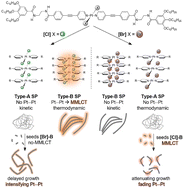 Graphical abstract: Exploiting halido ligands to control nucleation pathways and Pt⋯Pt interactions in supramolecular co-polymerizations