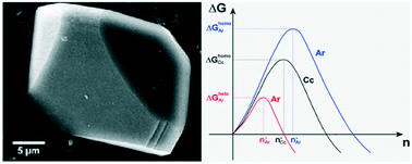 Graphical abstract: Epitaxy: a methodological approach to the study of an old phenomenon