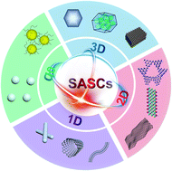 Graphical abstract: Single-atom site catalysts based on high specific surface area supports