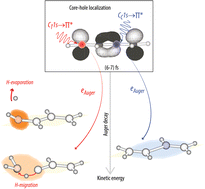 Graphical abstract: Site-dependent nuclear dynamics in core-excited butadiene