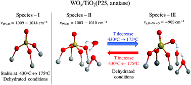Graphical abstract: Rethinking the molecular structures of WVIOx sites dispersed on titania: distinct mono-oxo configurations at 430 °C and temperature-dependent transformations
