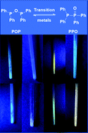 Graphical abstract: Transition metal complexes of the PPO/POP ligand: variable coordination chemistry and photo-luminescence properties