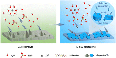 Graphical abstract: Dendrite-free Zn anode enabled by anionic surfactant-induced horizontal growth for highly-stable aqueous Zn-ion pouch cells