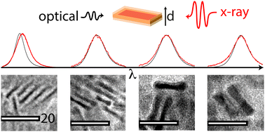 Graphical abstract: Perspective on the scintillating response of CdSe based nanoplatelets heterostructures