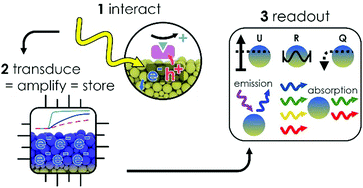 Graphical abstract: Photomemristive sensing via charge storage in 2D carbon nitrides