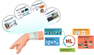 Graphical abstract: A review on accelerated development of skin-like MXene electrodes: from experimental to machine learning