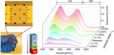 Graphical abstract: Transfer-printing-enabled GeSn flexible resonant-cavity-enhanced photodetectors with strain-amplified mid-infrared optical responses