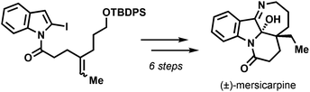 Graphical abstract: Total synthesis of (±)-mersicarpine following a 6-exo-trig radical cyclization