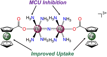 Graphical abstract: A ferrocene-containing analogue of the MCU inhibitor Ru265 with increased cell permeability