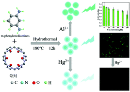 Graphical abstract: A cucurbit[6]uril-carbon dot system: a potentially new bioimaging agent