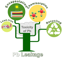 Graphical abstract: Challenges of lead leakage in perovskite solar cells