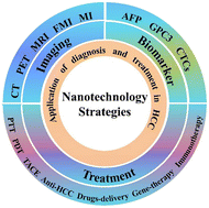 Graphical abstract: Nanotechnology strategies for hepatocellular carcinoma diagnosis and treatment