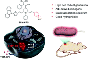 Graphical abstract: AIE-active luminogens as highly efficient free-radical ROS photogenerator for image-guided photodynamic therapy