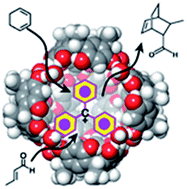 Graphical abstract: Carbocation catalysis in confined space: activation of trityl chloride inside the hexameric resorcinarene capsule