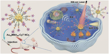 Graphical abstract: Ligand engineering of Au44 nanoclusters for NIR-II luminescent and photoacoustic imaging-guided cancer photothermal therapy