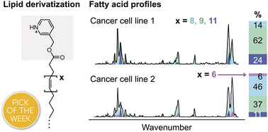 Graphical abstract: Establishing carbon–carbon double bond position and configuration in unsaturated fatty acids by gas-phase infrared spectroscopy