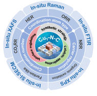 Graphical abstract: Rational design, application and dynamic evolution of Cu–N–C single-atom catalysts