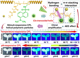 Graphical abstract: Stimuli-responsive helical polymeric particles with amplified circularly polarized luminescence