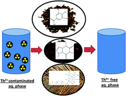 Graphical abstract: The application of food/agro-waste and spent household products for the environmentally benign separation of thorium