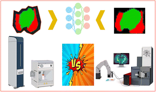 Graphical abstract: Comparing MS imaging of lipids by WALDI and MALDI: two technologies for evaluating a common ground truth in MS imaging