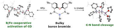 Graphical abstract: Intramolecular C–N bond activation by a transient boryl anion