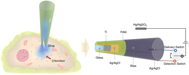 Graphical abstract: A hollow Ag/AgCl nanoelectrode for single-cell chloride detection