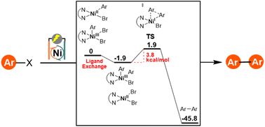 Graphical abstract: Mechanistic studies of Ni-catalyzed electrochemical homo-coupling reactions of aryl halides