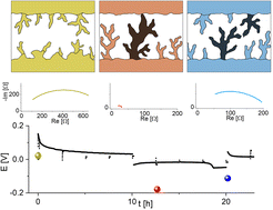 Graphical abstract: Insights into soft short circuit-based degradation of lithium metal batteries