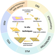 Graphical abstract: Progress on the in situ imaging of growth dynamics of two-dimensional materials