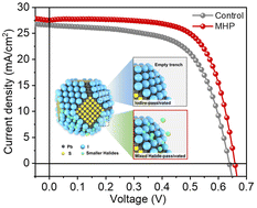 Graphical abstract: In situ synergistic halogen passivation of semiconducting PbS quantum dot inks for efficient photovoltaics