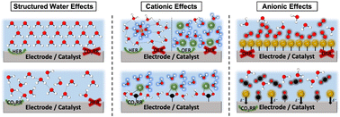 Graphical abstract: Recent advances in the role of interfacial liquids in electrochemical reactions