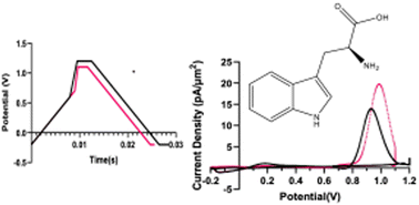 Graphical abstract: Measuring tryptophan dynamics using fast scan cyclic voltammetry at carbon fiber microelectrodes with improved sensitivity and selectivity