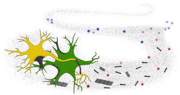 Graphical abstract: The supersaturation perspective on the amyloid hypothesis