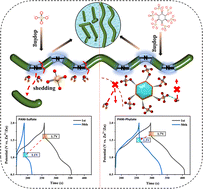 Graphical abstract: Enhancing organic cathodes of aqueous zinc-ion batteries via utilizing steric hindrance and electron cloud equalization