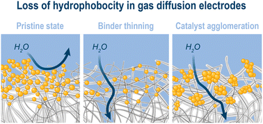 Graphical abstract: Early-stage performance change of gas diffusion electrodes for CO2 electroreduction to formate