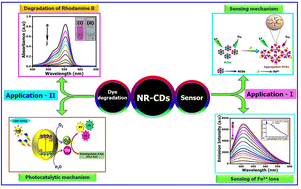 Graphical abstract: One-pot synthesis of carbon dots from neem resin and the selective detection of Fe(ii) ions and photocatalytic degradation of toxic dyes
