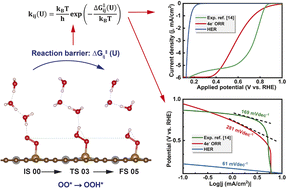 Graphical abstract: Reaction mechanism and kinetics of oxygen reduction reaction on the iron–nickel dual atom catalyst