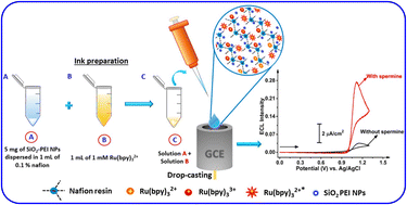 Graphical abstract: Fabrication of an all-in-one self-enhanced solid-state electrochemiluminescence sensing platform for the selective detection of spermine