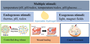 Graphical abstract: Advances in stimuli-responsive injectable hydrogels for biomedical applications