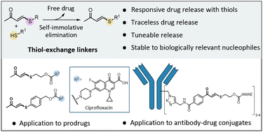 Graphical abstract: Tuneable thiol exchange linkers for traceless drug release applications in prodrugs and ADCs