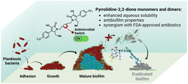 Graphical abstract: Pyrrolidine-2,3-diones: heterocyclic scaffolds that inhibit and eradicate S. aureus biofilms