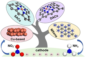 Graphical abstract: Advances in designing efficient electrocatalysts for nitrate reduction from a theoretical perspective
